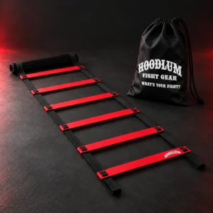 Agility Ladder — Three-quarter view (AI demo concept)