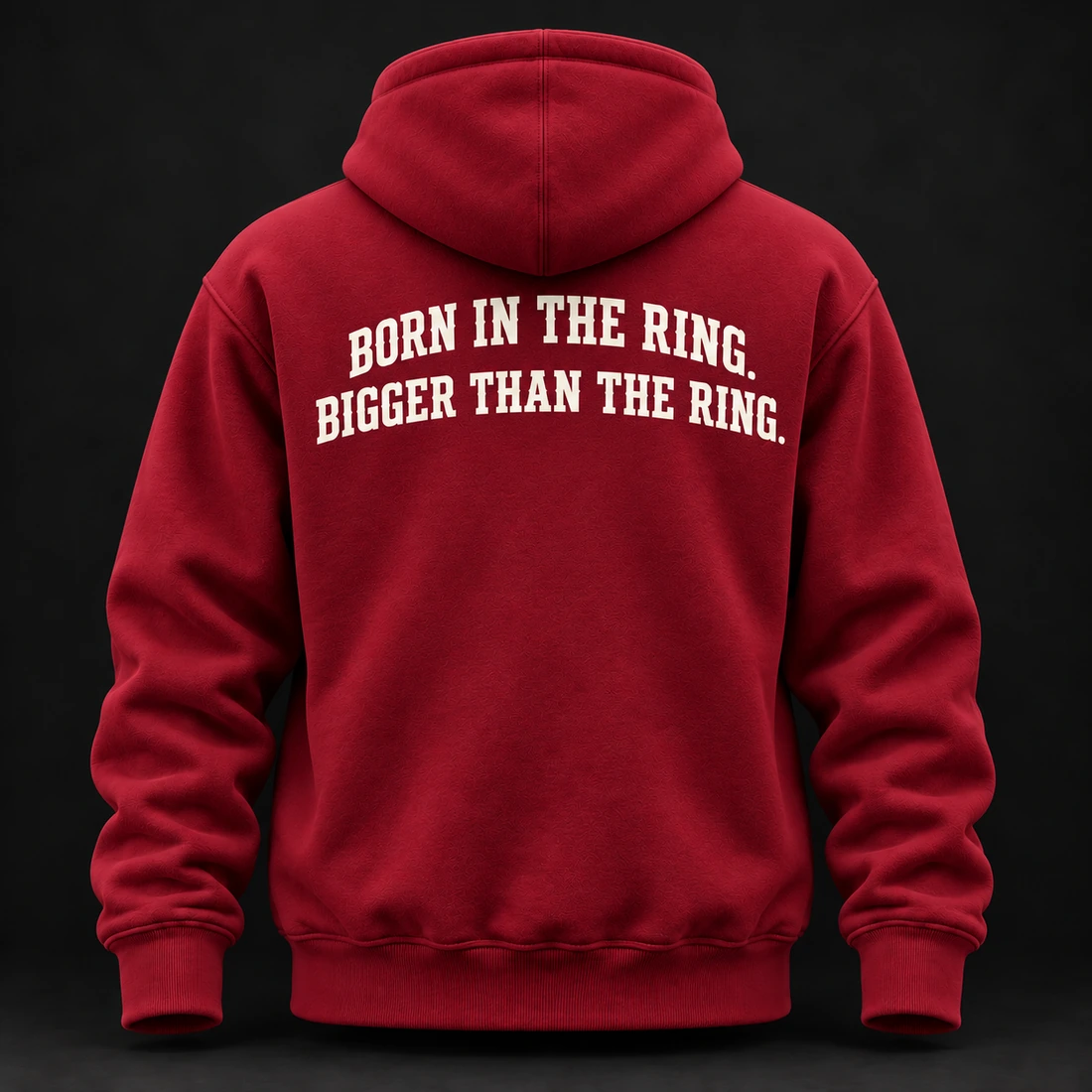 Beyond the Ring Hoodie — Crimson / Onyx — Back view (AI demo concept)