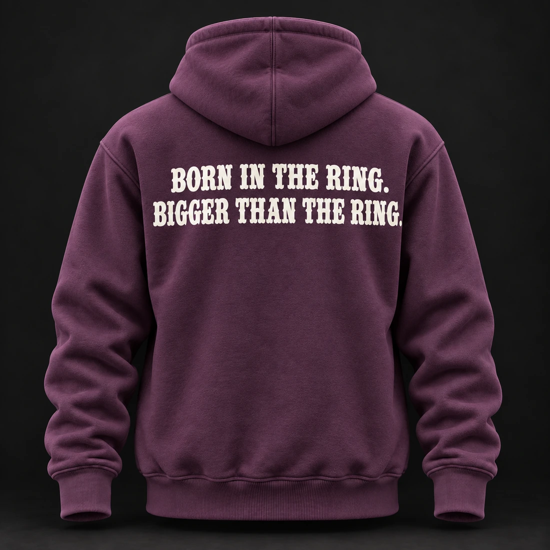 Beyond the Ring Hoodie — Plum / Pewter — Back view (AI demo concept)