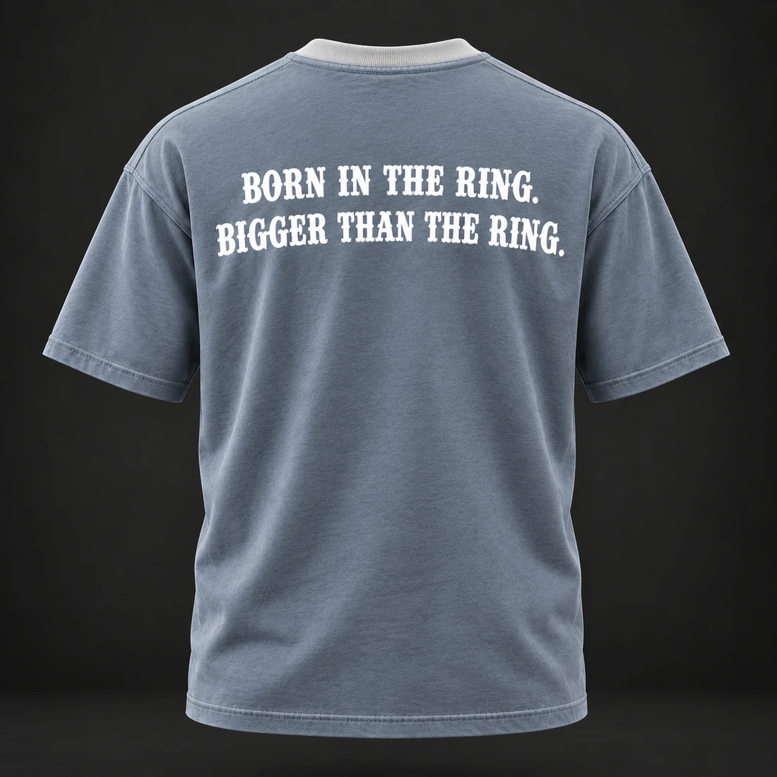 Beyond the Ring Tee — Slate / Glacier — Back view (AI demo concept)
