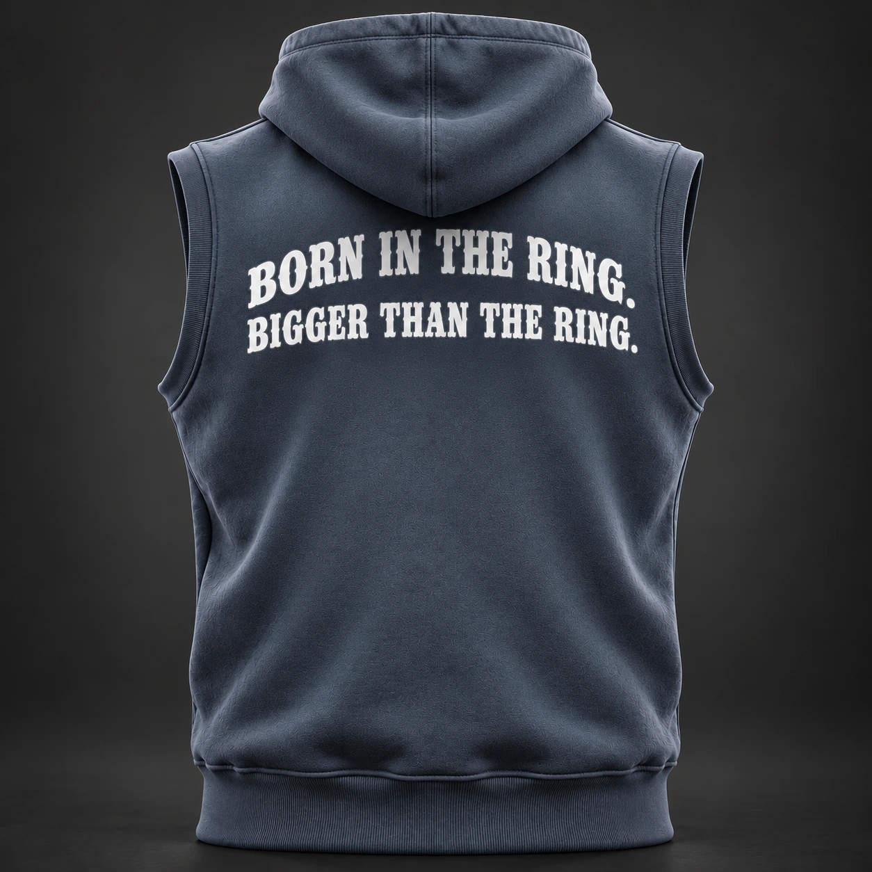 Ring Legacy Sleeveless Hoodie — Slate / Glacier — Back view (AI demo concept)