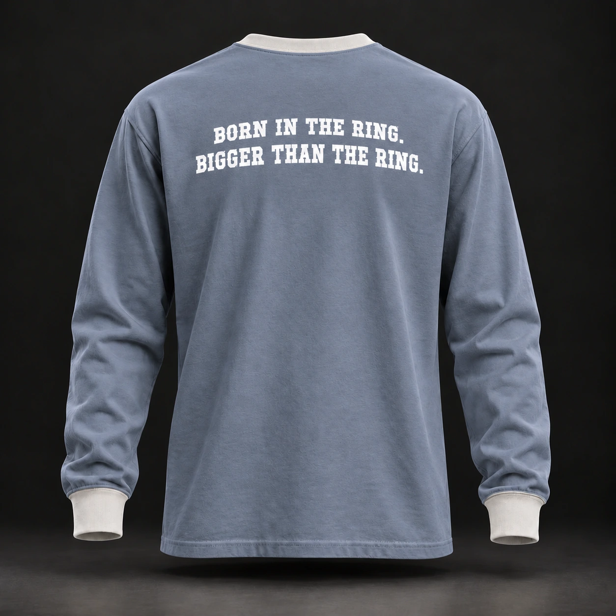 Story Long Sleeve Tee — Slate / Glacier — Back view (AI demo concept)
